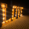 LOVE LED Leuchtbuchstaben Rustikal 120cm XXL mieten