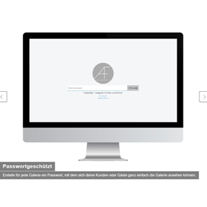 Online Galerie mit Password/ Zugang